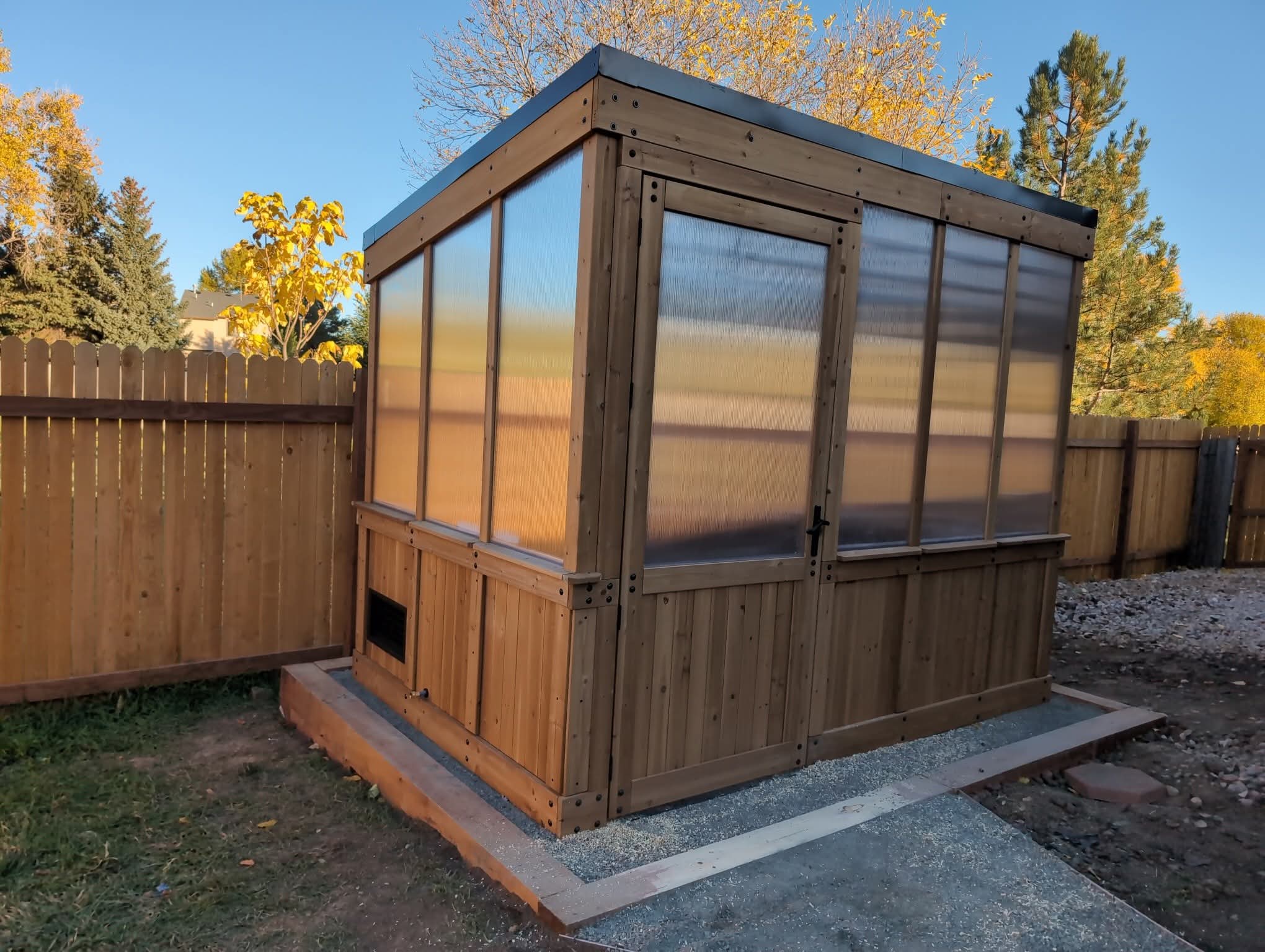 Custom-built cedar backyard shed with polycarbonate greenhouse panel walls in a Timnath, Colorado backyard